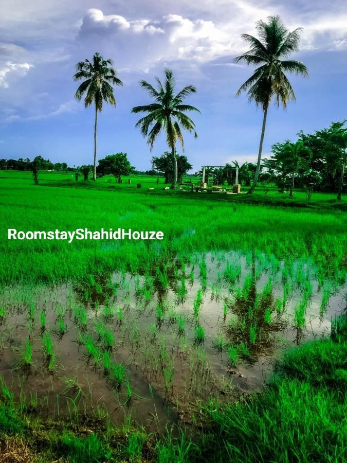 Roomstay Shahid Hou'Ze Kangar Exteriér fotografie