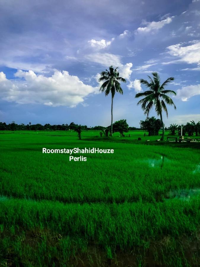 Roomstay Shahid Hou'Ze Kangar Exteriér fotografie